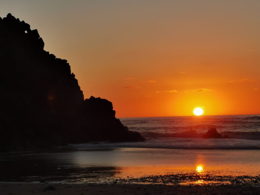 IMG 20210115 190103 resized 20210507 100020565 1 Copie